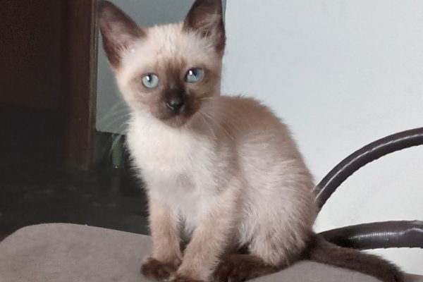 20250827_103028-5